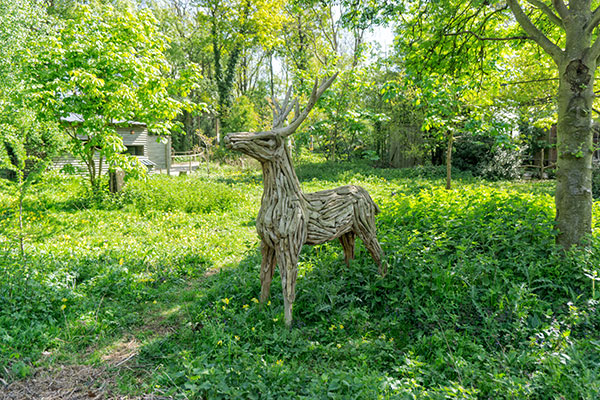 Tropical Butterfly House, Sheffield, Stag Sculpture